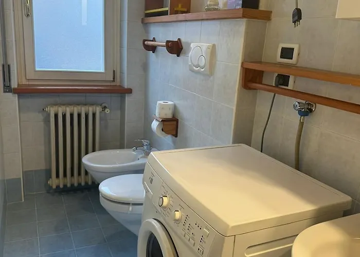 Ciasa Tarin Rino アパート アウロンツォ・ディ・カドーレ